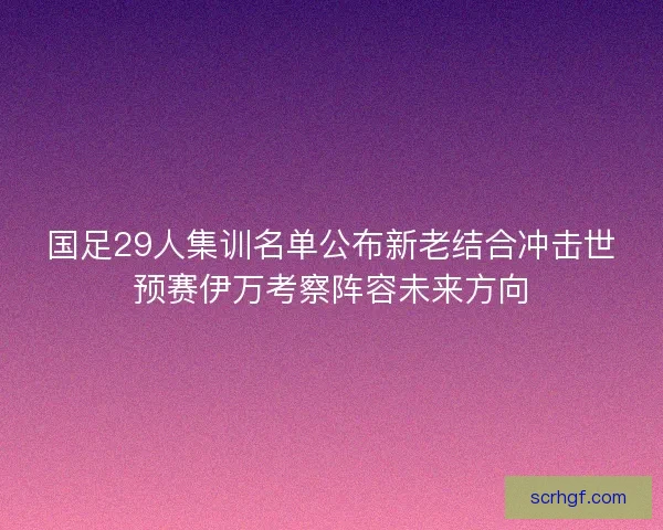 国足29人集训名单公布新老结合冲击世预赛伊万考察阵容未来方向 国足29人集训名单公布新老结合冲击世预赛伊万考察阵容未来方向